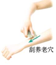 心和小肠保健刮痧