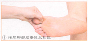 高脂血症按摩