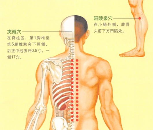强直性脊柱炎艾灸