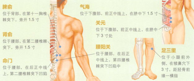增加免疫力艾灸