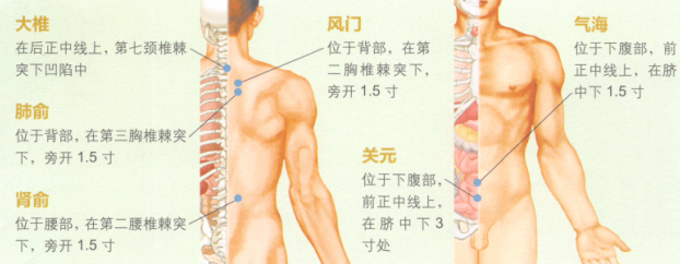 中老年保健艾灸