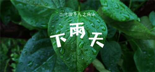 雨水
