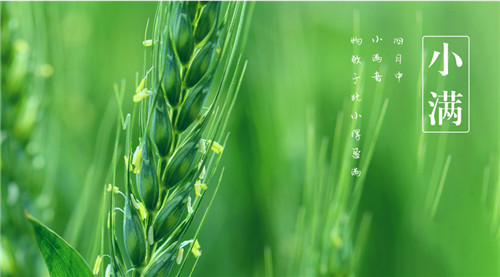 小满