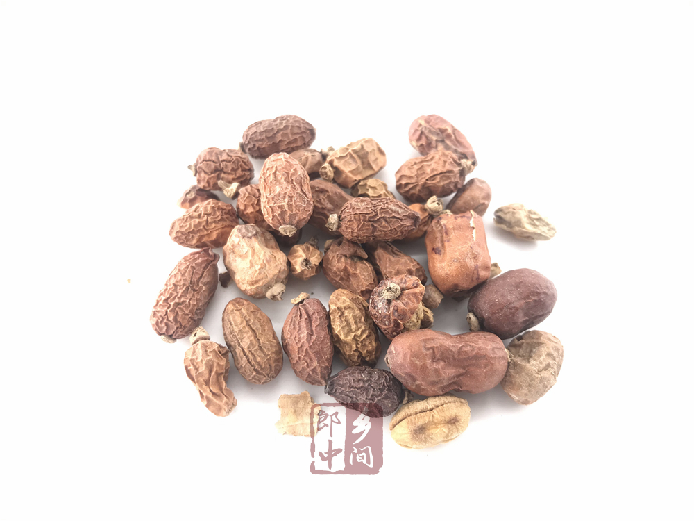 红豆蔻