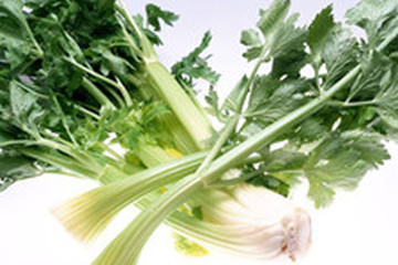 水芹菜