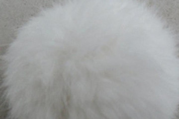 兔皮毛