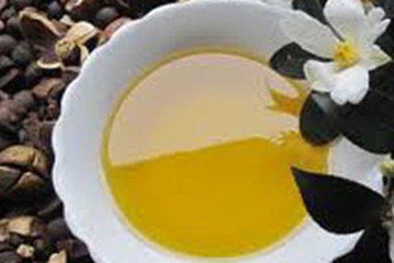 油茶油