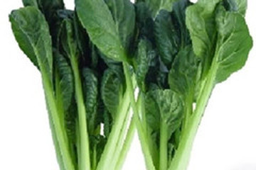 菘菜