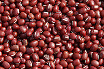 红小豆