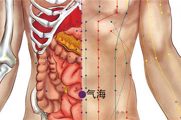 气海穴