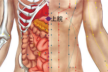 上脘穴