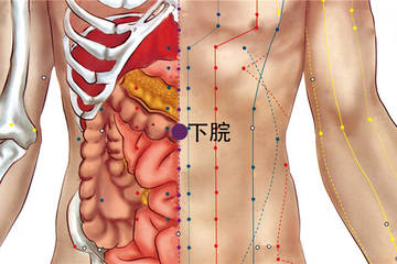 下脘穴