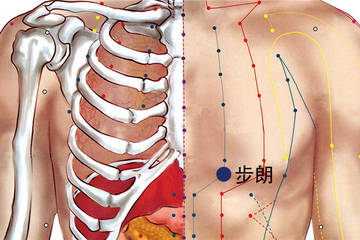 步廊穴