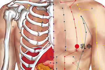 乳中穴