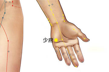 少府穴