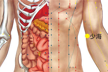 少海穴