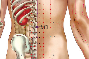 命门穴