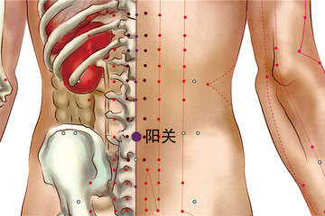 腰阳关穴