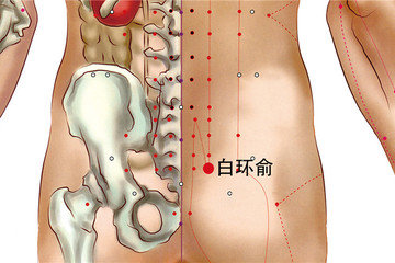 白环俞穴