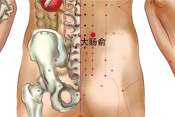 大肠俞穴