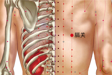 膈关穴