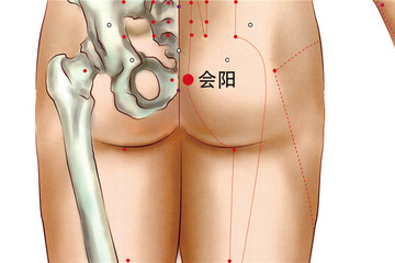 会阳穴