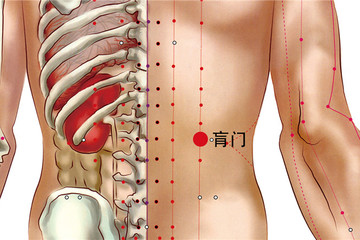 肓门穴