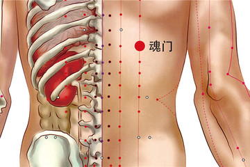 魂门穴