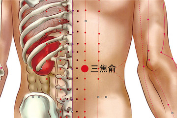 三焦俞穴