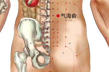 气海俞穴