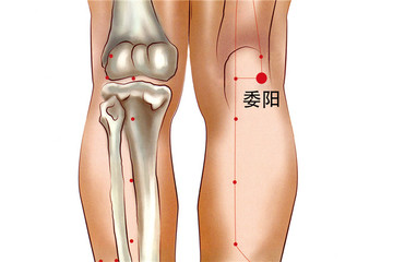委阳穴