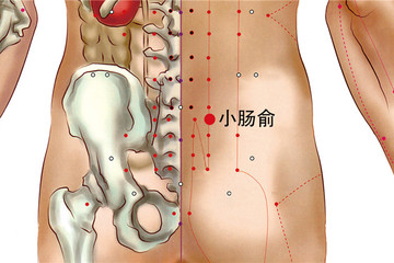 小肠俞穴