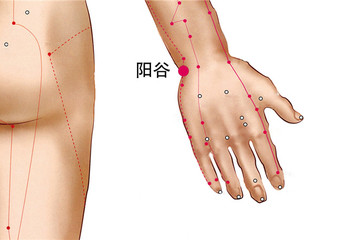 阳谷穴