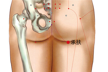 承扶穴