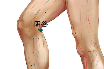 阴谷穴