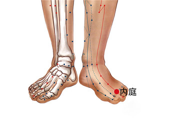 内庭穴