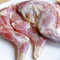 兔肉